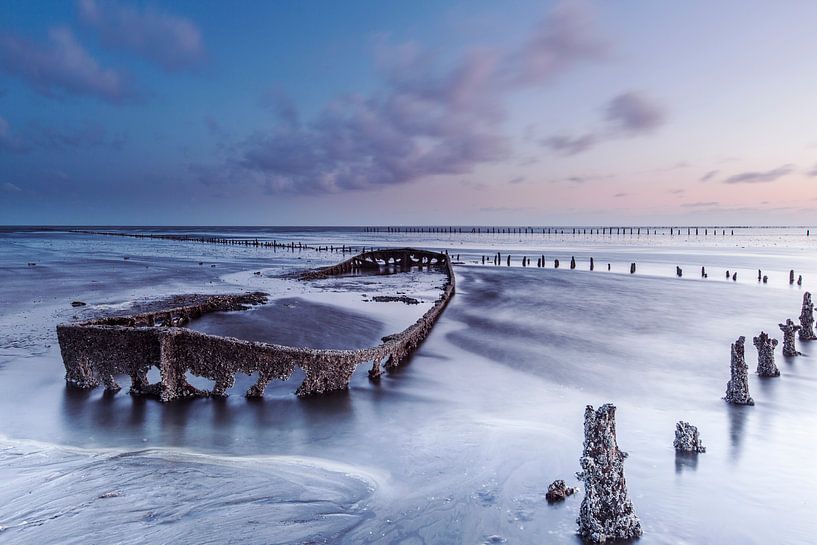 Wattenmeer von AGAMI Photo Agency