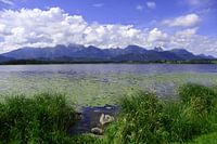 Hopfen am See in Allgäu Beieren Duitsland