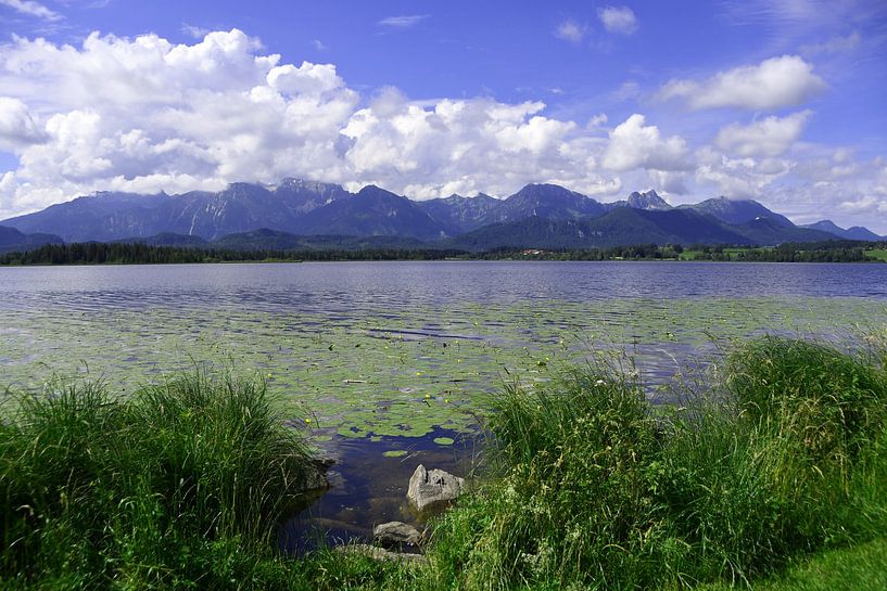 Hopfen am See in Allgäu Bavaria Germany by Karl-Heinz Petersitzke