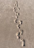 Happy Feet