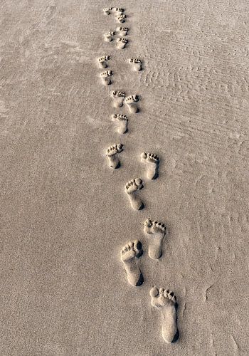 Happy Feet sur Wad of Wonders