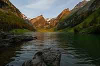 Seealpsee – Der Säntis im goldenen Morgenlicht