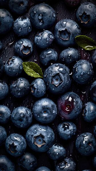 Fresh Blueberries from above by Studio XII