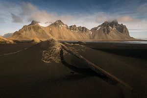 Island von Stefan Schäfer