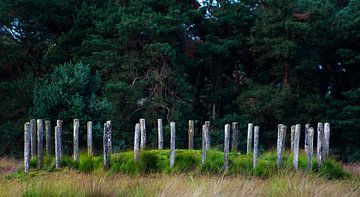 Regte Heide Paalgraf