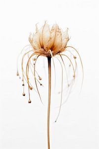 Tentacle Flower