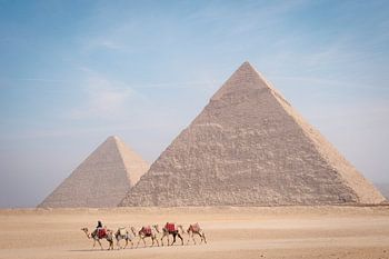 Voyage dans le désert – Caravane de chameaux à Gizeh