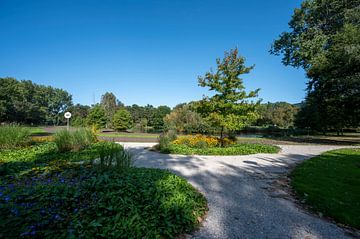 Zaandam Field Park by Peter Bartelings