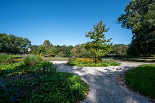 Zaandam Field Park