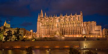 De kathedraal van Palma de Mallorca bij nacht van t.ART