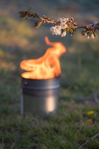 Fire pot cherry orchard