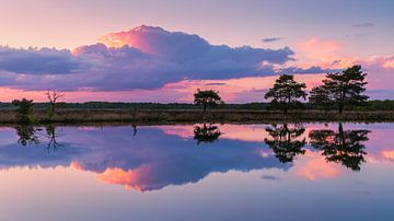 Sonnenuntergang bei Holtveen im Nationalpark Dwingelderveld