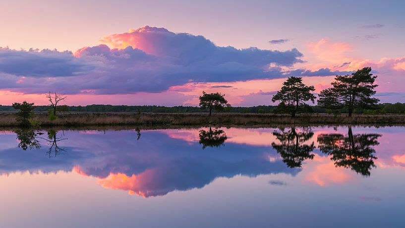 Sonnenuntergang bei Holtveen im Nationalpark Dwingelderveld von Henk Meijer Photography