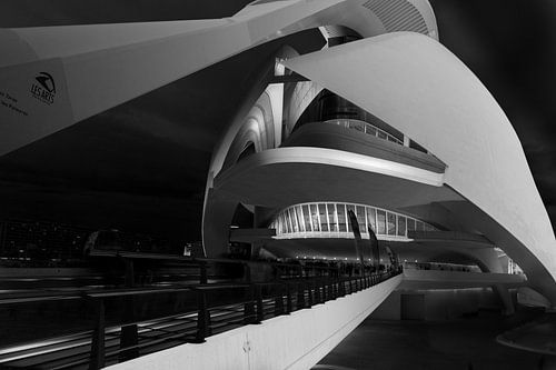 Walkway to the opera house of Valencia