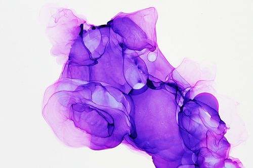 Mijn kleine paarse Schnauzer