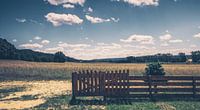 Felder, Wiesen und Wälder im Sommer. Holzzaun von Jakob Baranowski - Photography - Video - Photoshop Miniaturansicht