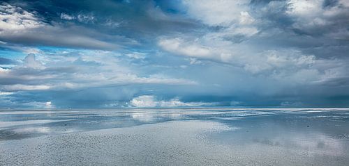 Into the Blue