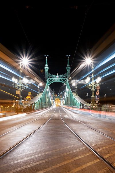 Freedom Bridge by Esmeralda holman