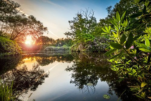 Zonsopkomst boven landgoed de Wamberg in Berlicum