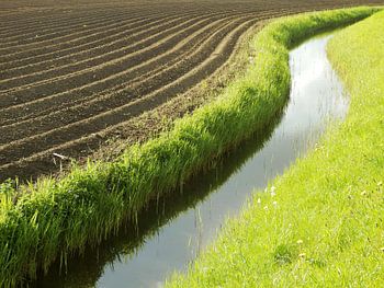 Lijnen in het landschap