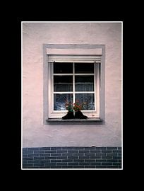 Fenster-Schuhe von Paul Schrandt