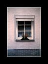 Window Shoes by Paul Schrandt thumbnail