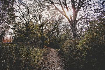 Groningen Natuur  van Tim Stoppels