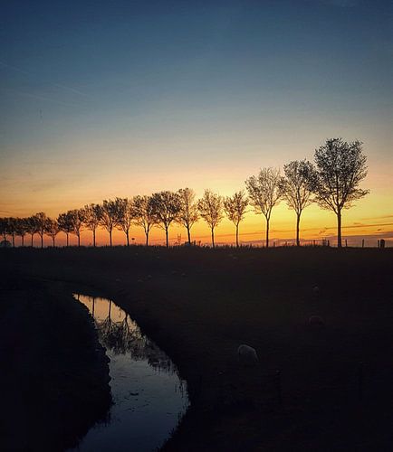 Schemering in de Beemster sur Niels Krommenhoek