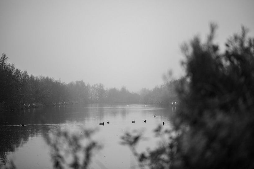 friesland the parts in black and white 5 by anne droogsma