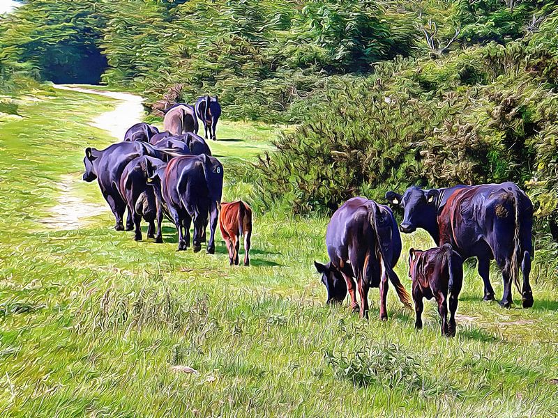 The Long Walk Home by Dorothy Berry-Lound