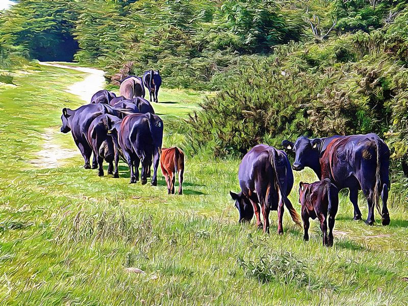 The Long Walk Home van Dorothy Berry-Lound