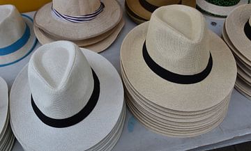 Des chapeaux pour homme