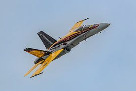 Royal Canadian Air Force CF-18 Hornet Solo Display 2016. von Jaap van den Berg