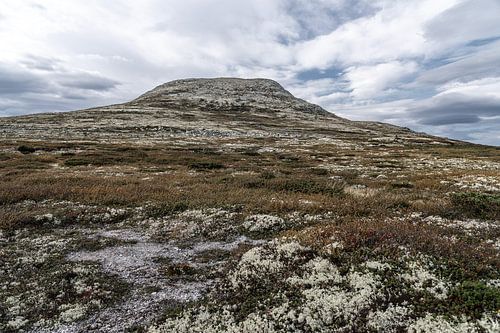 Norvège | Sommet du Søre Bølhøgda dans le massif du Rondane