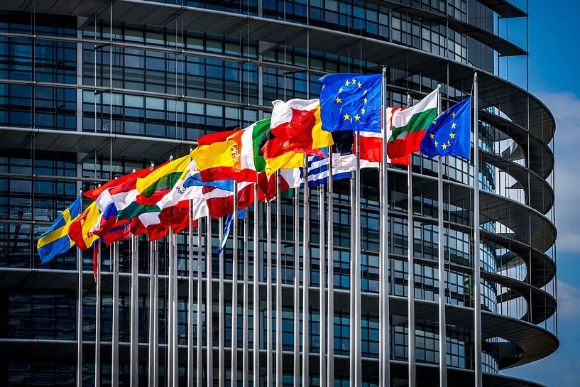 Europees Parlement in Straatsburg Frankrijk van Lex van Lieshout