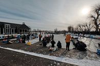 Nieuwkoopse Plassen in de winter met ijs van Arie Bon thumbnail