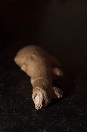 Gember sur zippora wiese