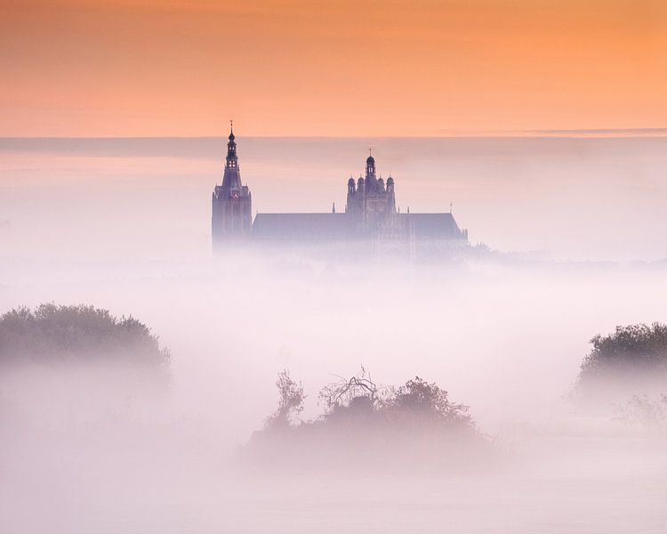 Morgendämmerung in St. John's von Ruud Peters