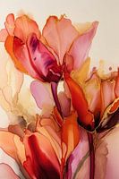 Tulpen rood