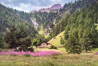 Vallée de Névache