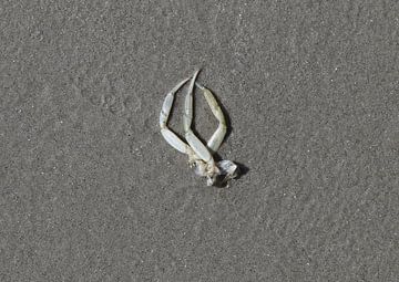 Sur la plage sur Matthias Brix