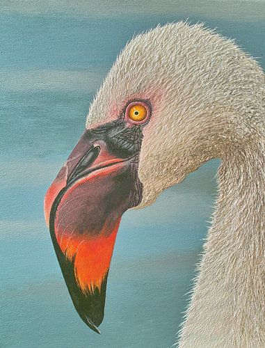 Flamingo portrait