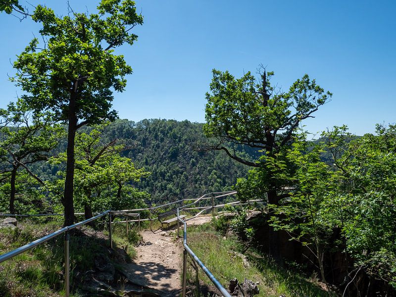 Randonnée dans le parc naturel du Harz par Animaflora PicsStock