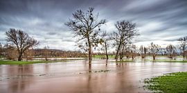 High water in the valley of the river Geul. by Rob Boon