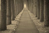 Cyclepath