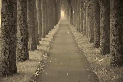 Fietspad