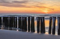 Masten an der Nordseeküste in Schoorl bei Sonnenuntergang