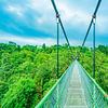 Der TreeTop Walk in Singapur von Barbara Riedel