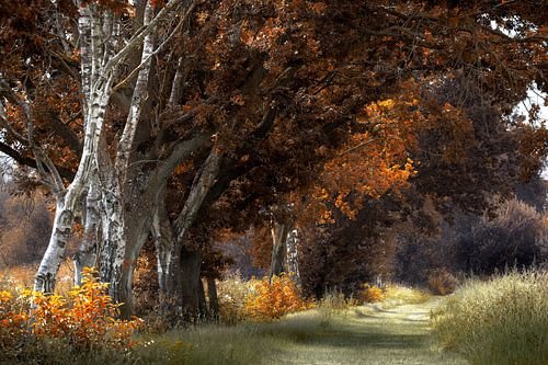 Jetzt auf beiden Seiten