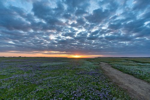 Slufter Texel Zonsondergang